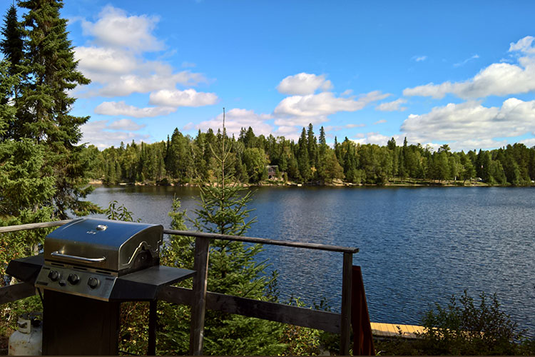 BiscoCabin-new-18.jpg