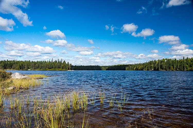 Bisco-lake01.jpg